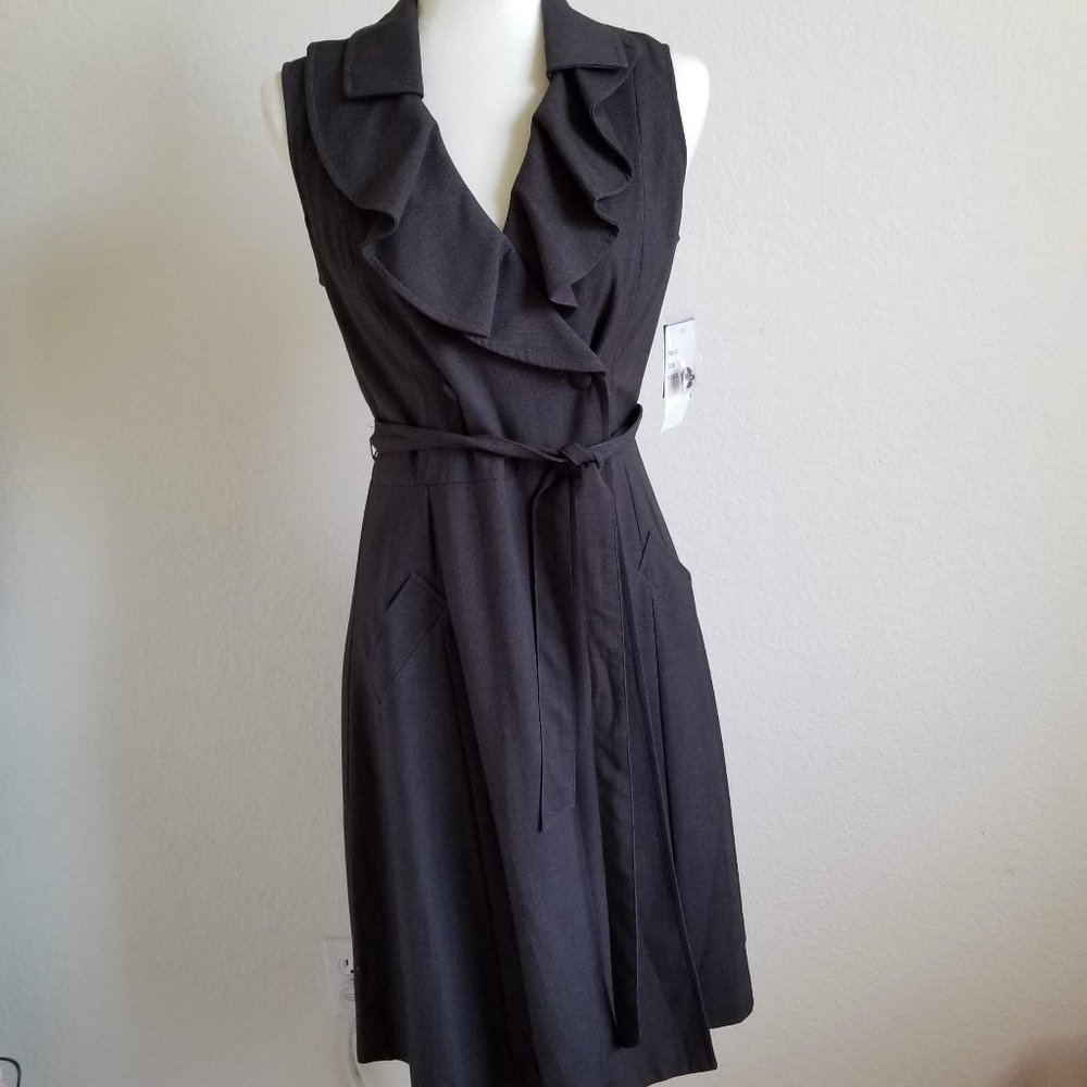 Sandra Darren Gray Sleeveless Ruffle Neck Dress 8
